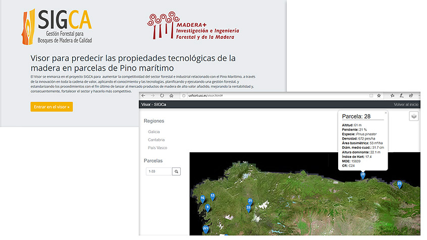 innovación, visor, GIS, masa, madera, calidad, producción, I+D+i, algoritmos, Cesefor, MaderaPlus