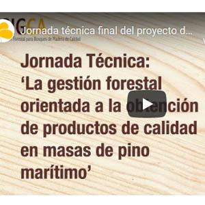 Boletín 7: Presentaciones y vídeo de la  jornada 'La gestión forestal orientada a la obtención de productos de calidad en masas de pino marítimo'